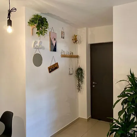 Fat Cow 102 * Livadhia