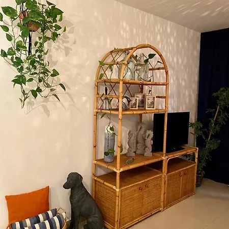 Fat Cow 102 * Livadhia