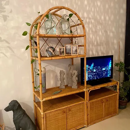 דירה Fat Cow 102