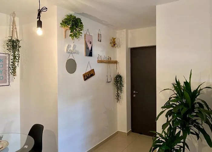 Fat Cow 102 * Livadhia