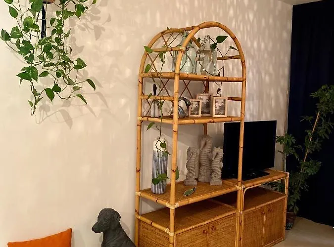 Fat Cow 102 * Livadhia